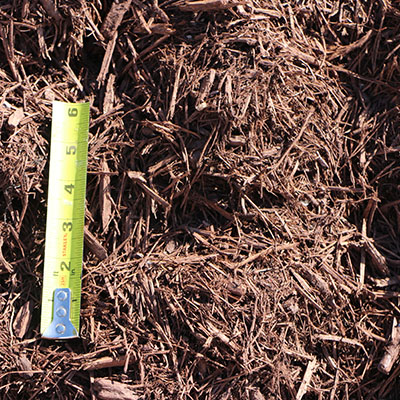 Trees Forever Nursery