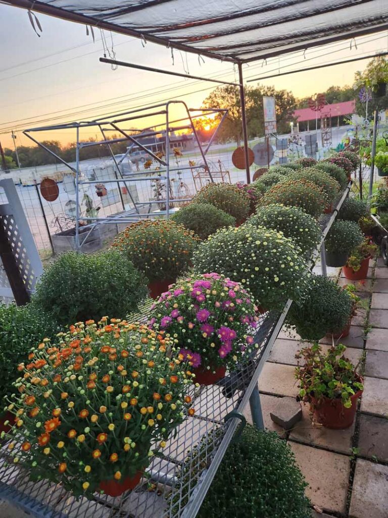 Trees Forever Nursery